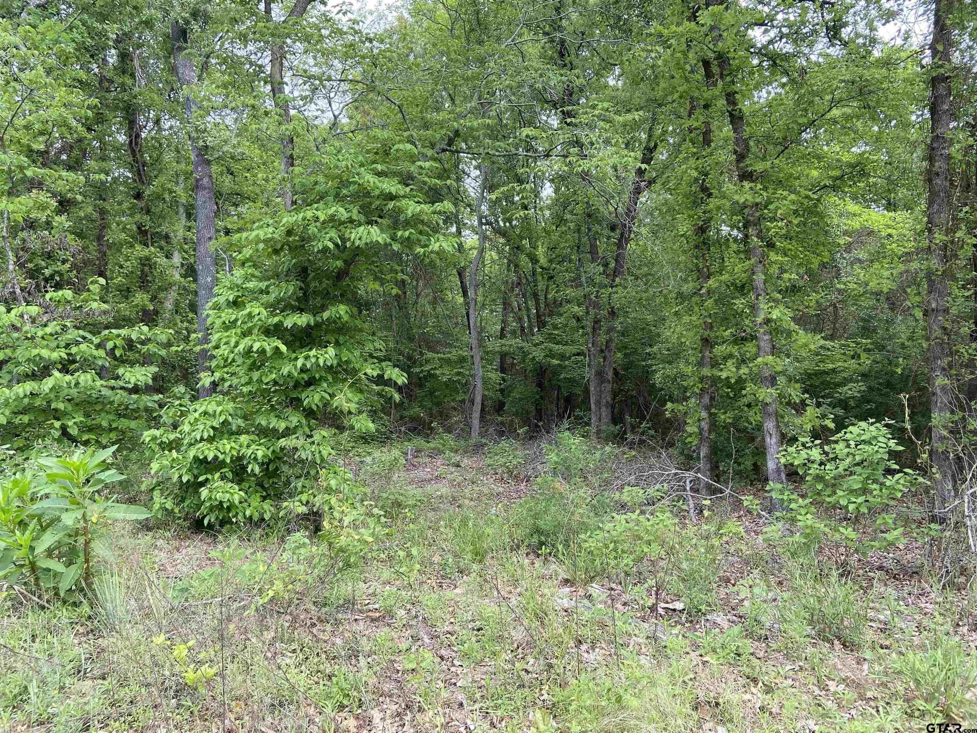 3.02 acres in Smith County featured view