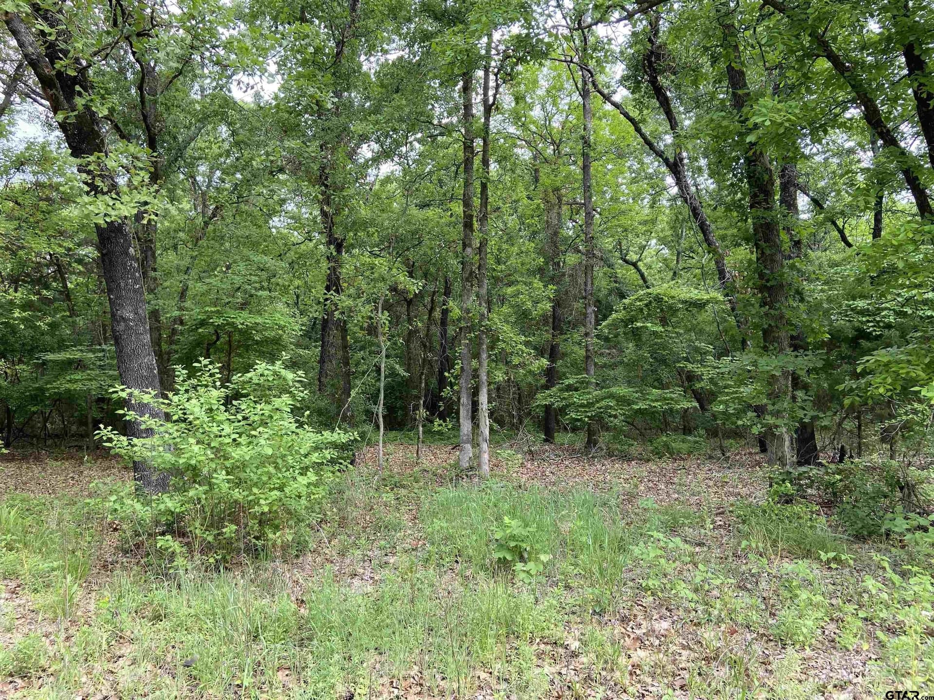 3.02 acres in Smith County