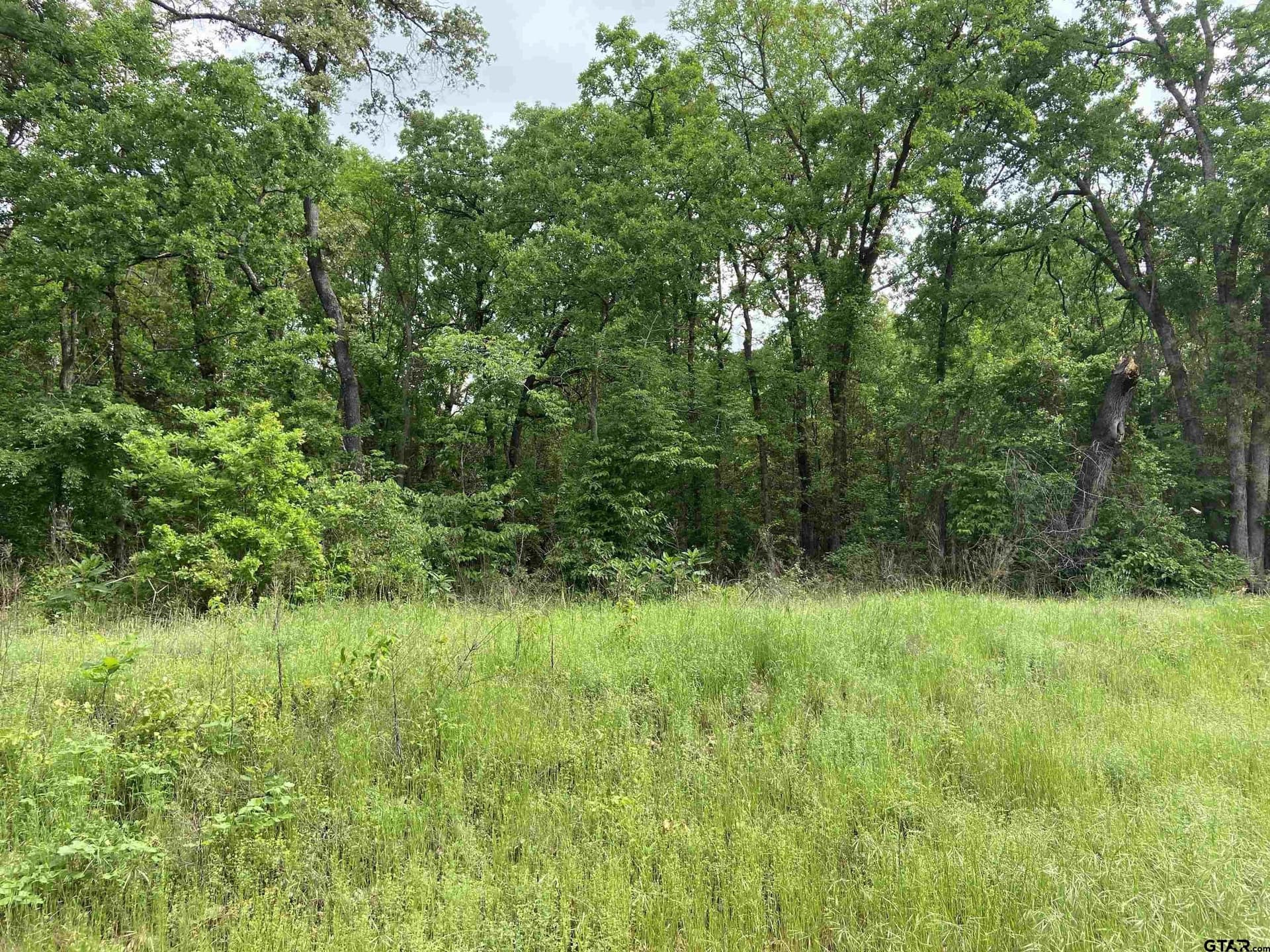 3.02 acres in Smith County gallery image 2