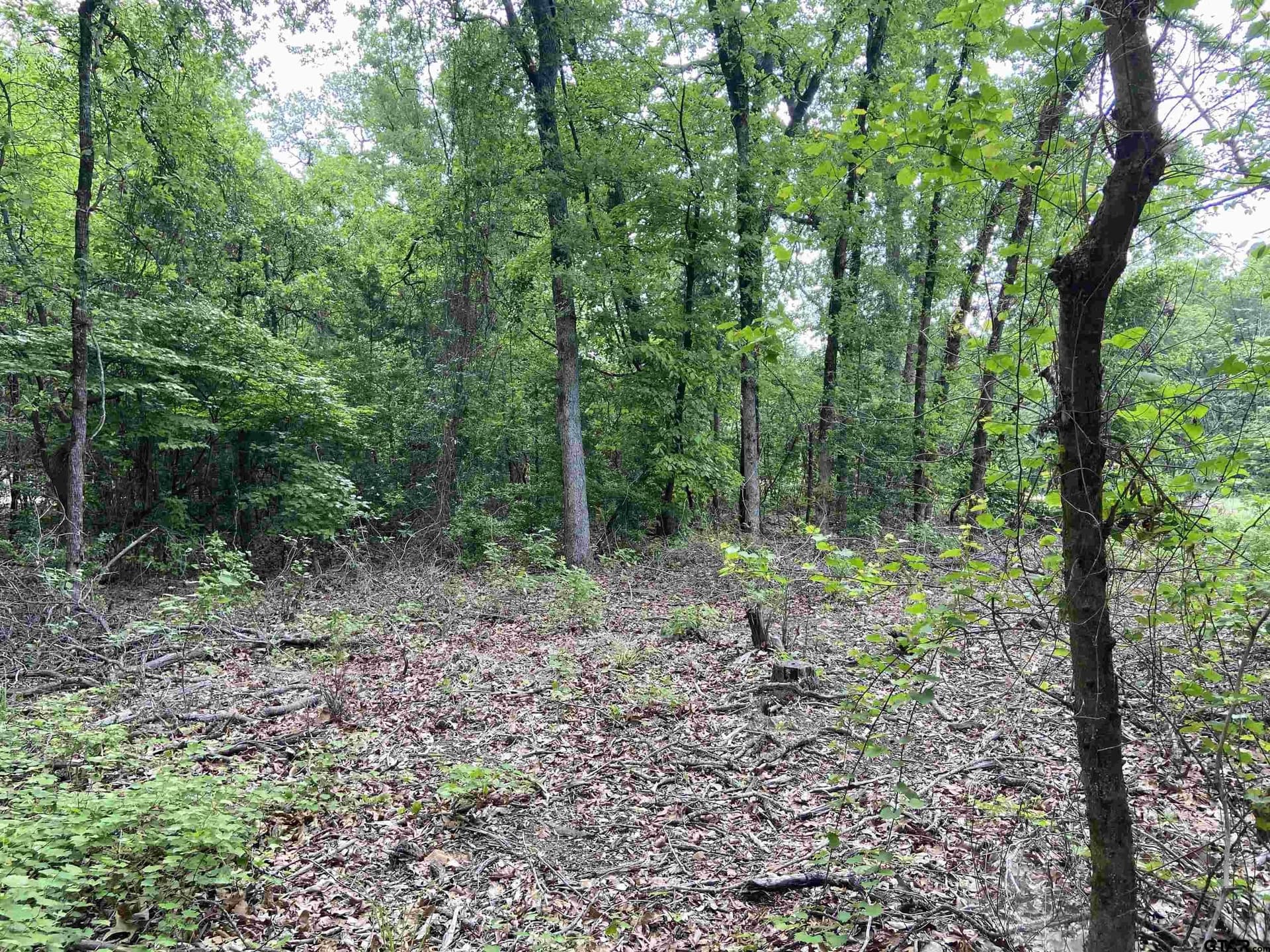 3.02 acres in Smith County gallery image 3