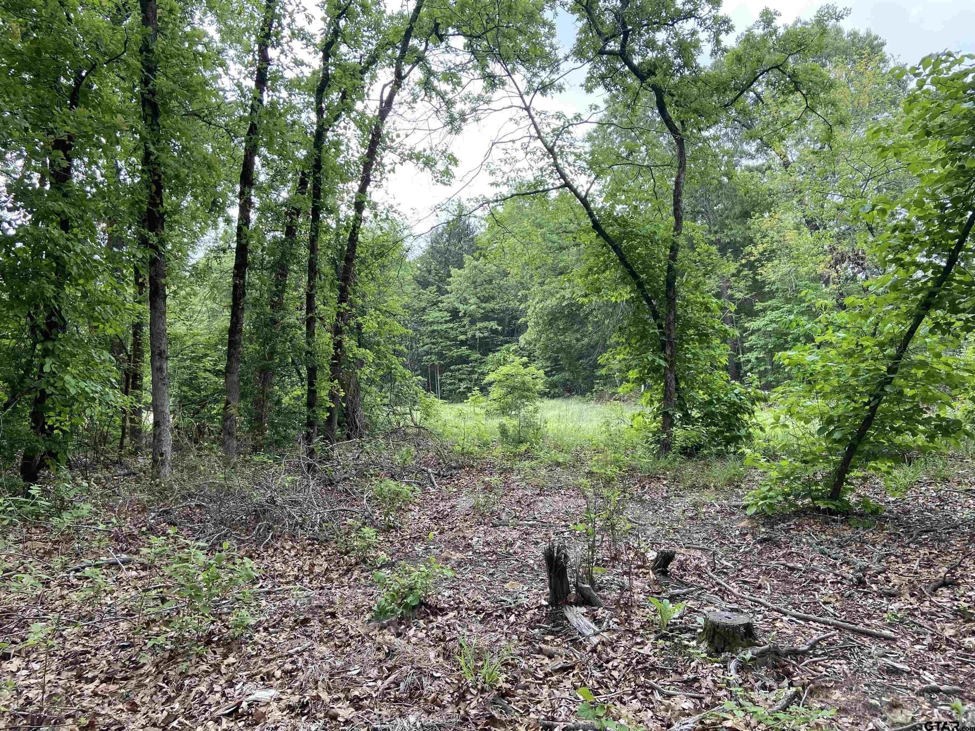 3.02 acres in Smith County gallery image 4