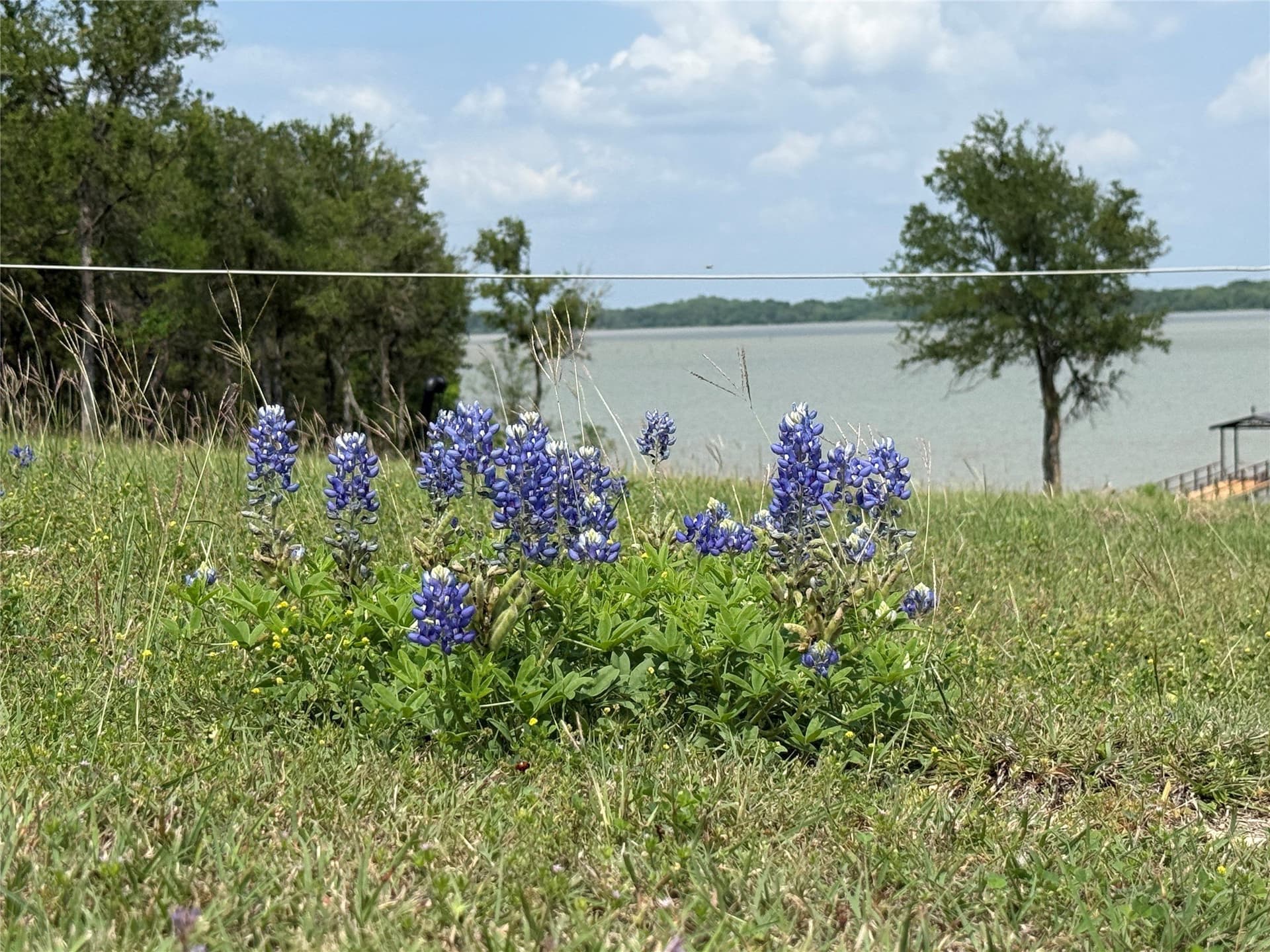 1.3 acres in Navarro County - photo 23