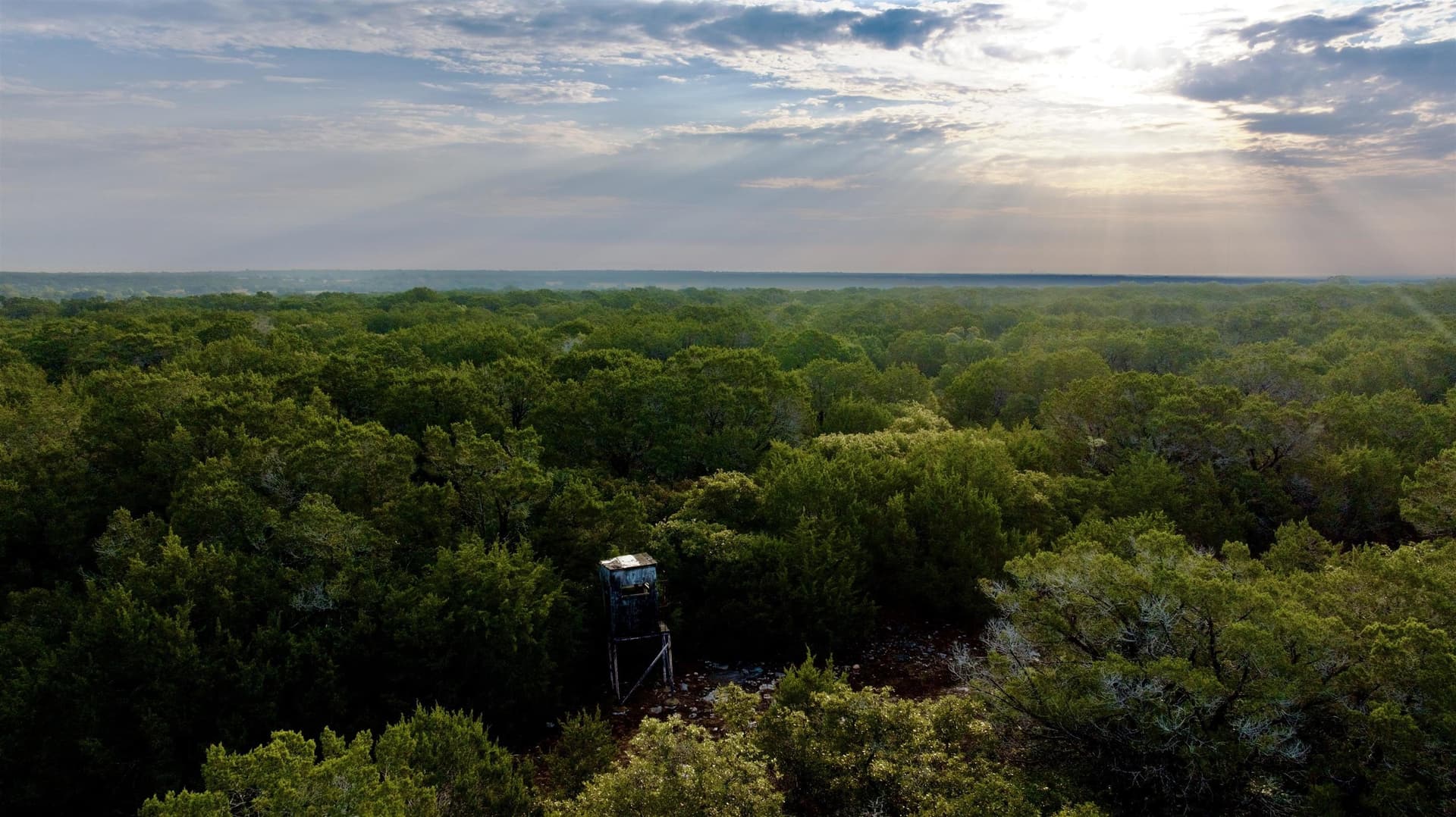 16.7 acres in Burnet County - photo 5