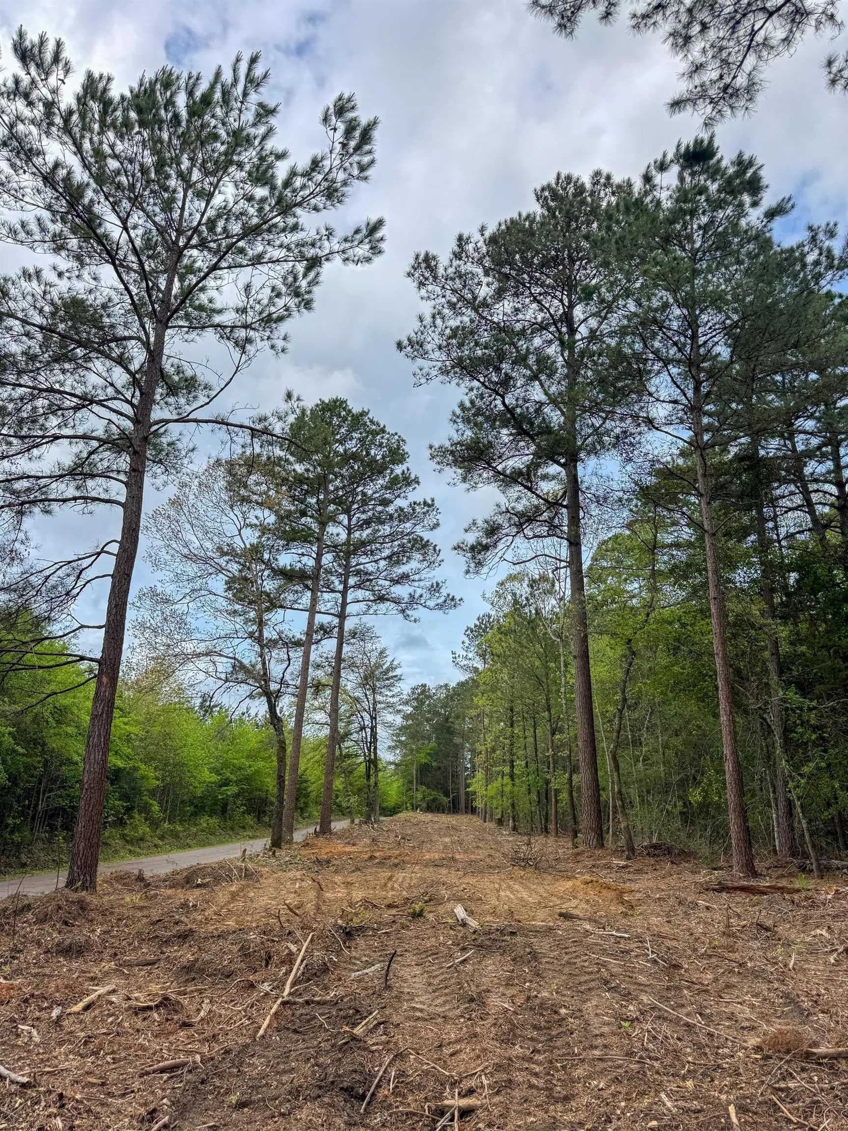 12.1 acres in Cass County - photo 9