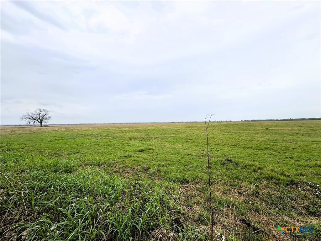 11 acres in Falls County gallery image 3