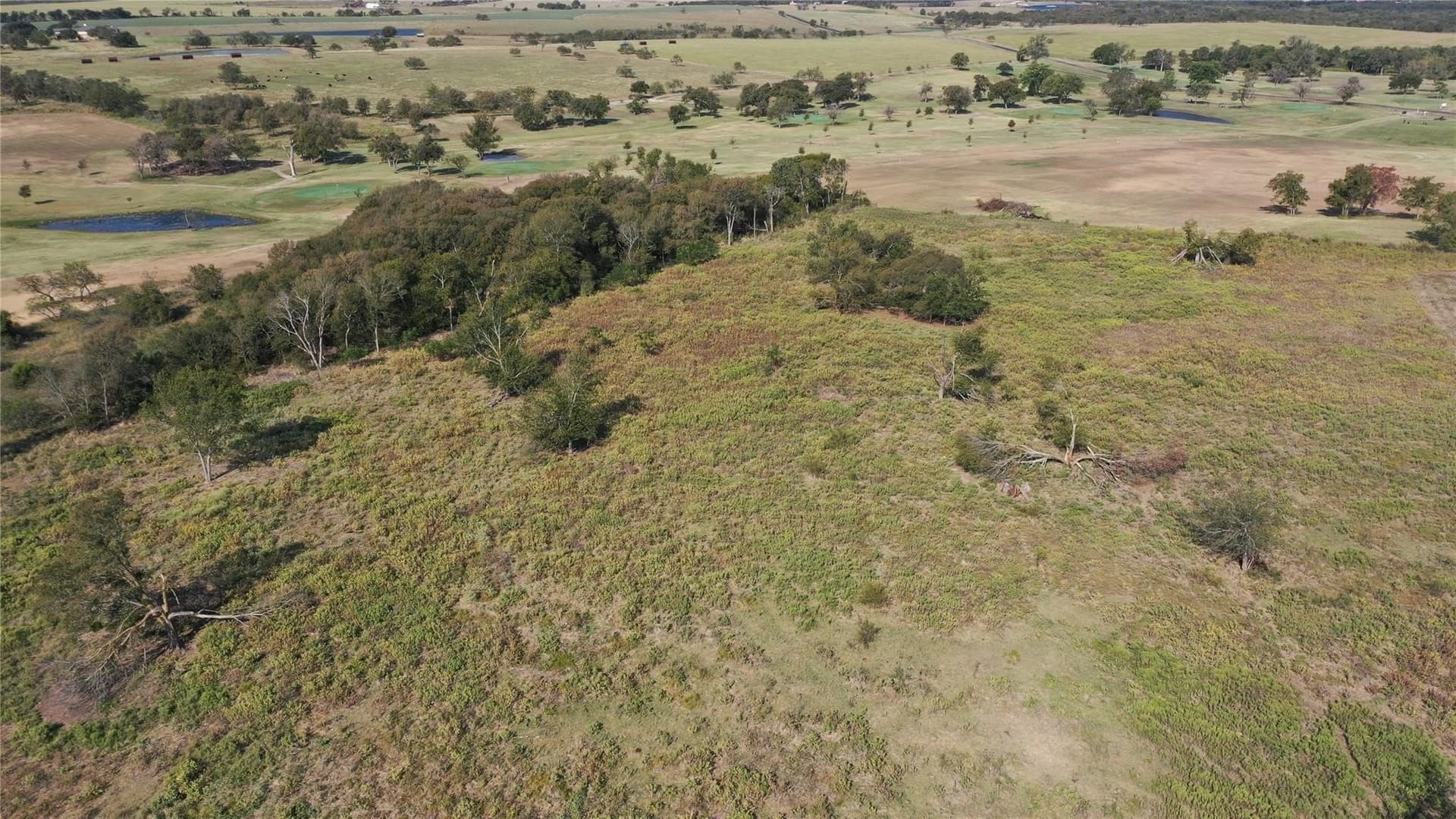 32.5 acres in McLennan County - photo 6