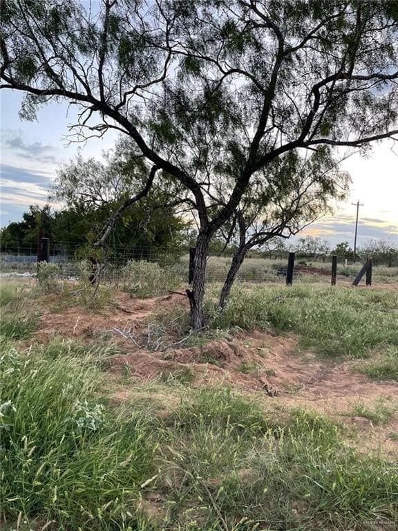 10.01 acres in Starr County - photo 7