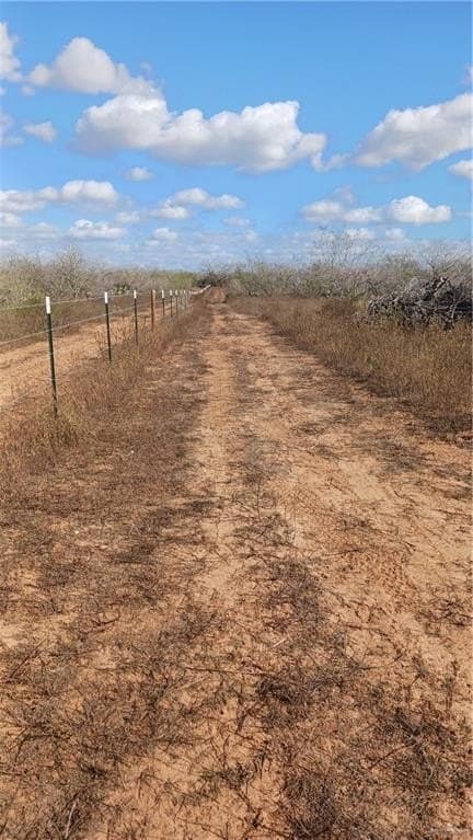 10.01 acres in Starr County gallery image 2
