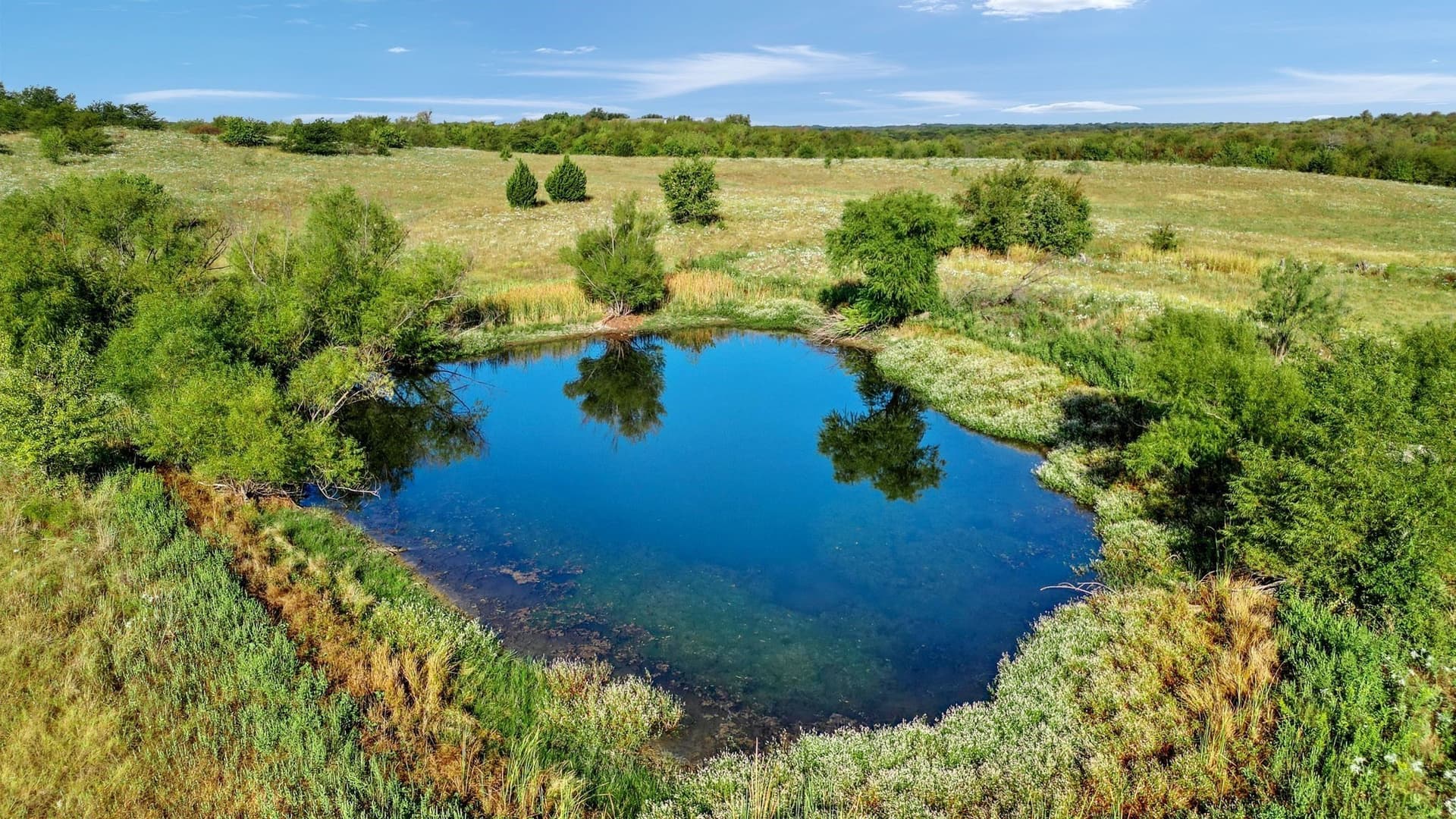 81.63 acres in Grayson County - photo 15