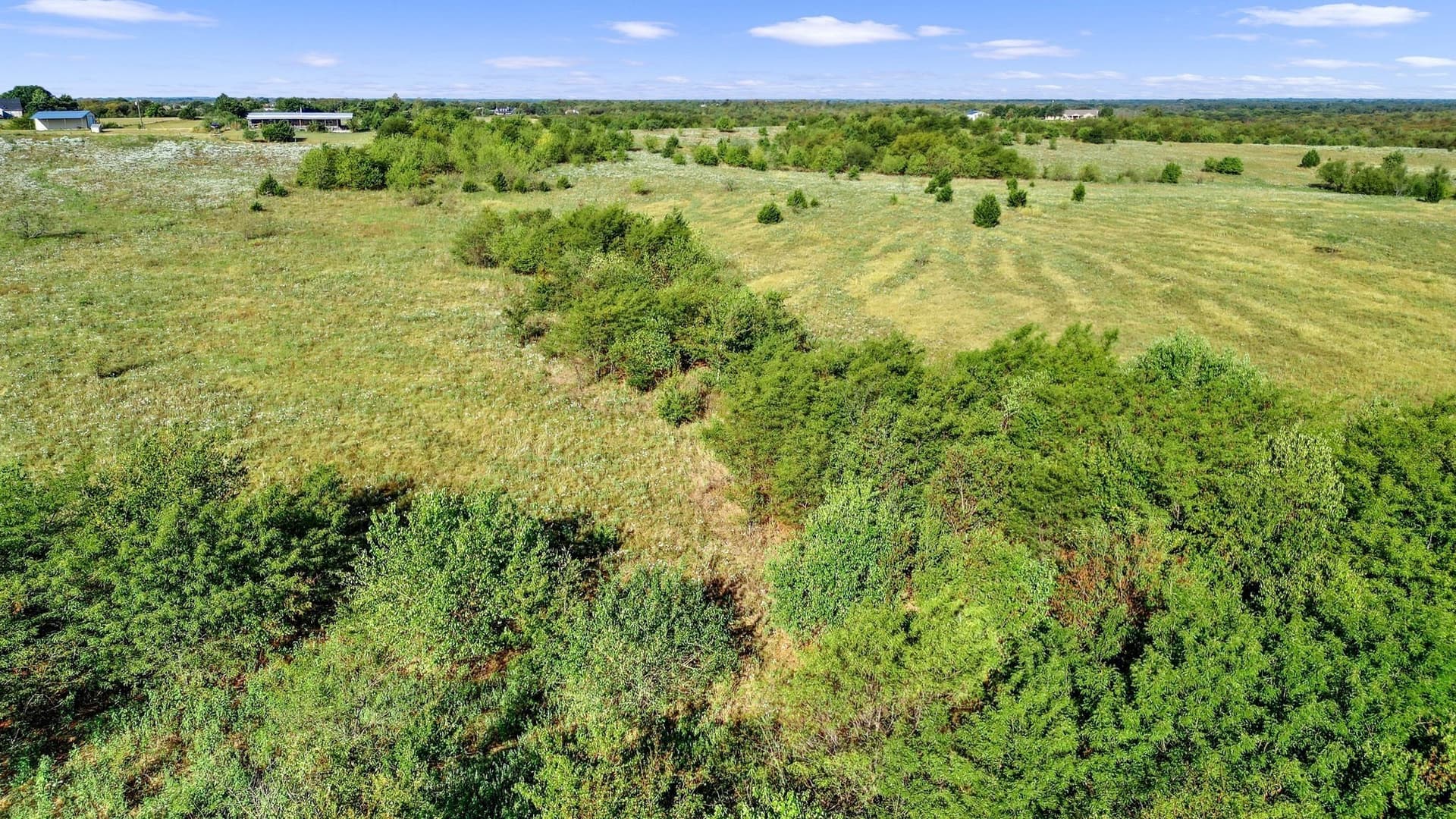 81.63 acres in Grayson County - photo 14