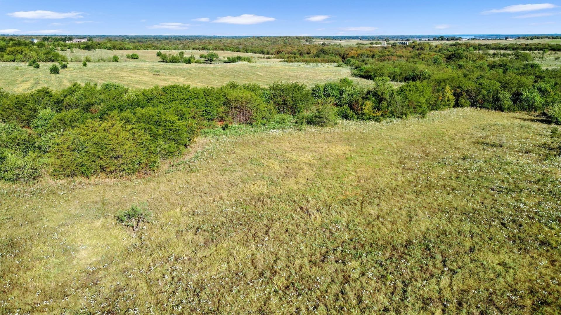 81.63 acres in Grayson County - photo 13