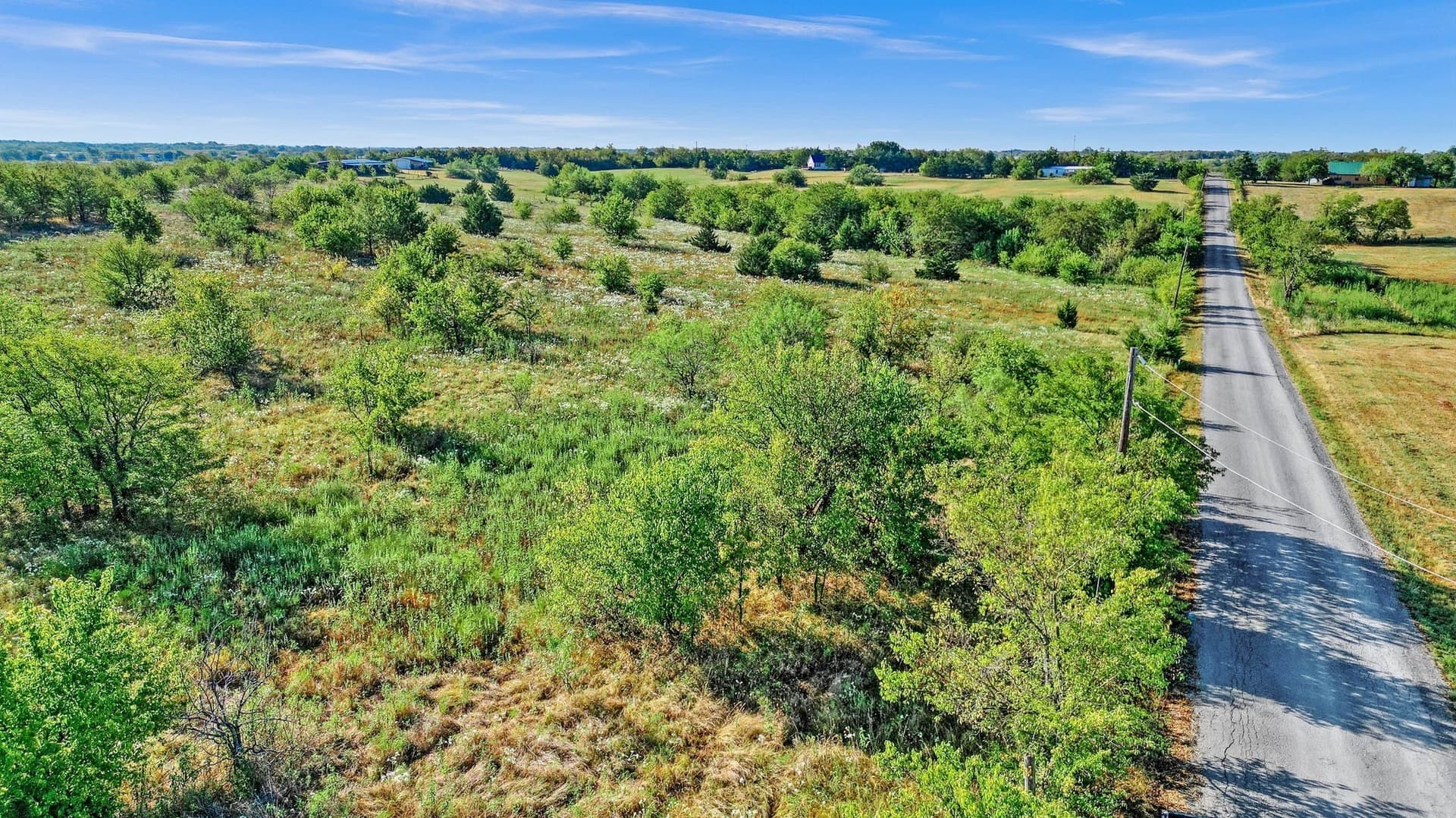 81.63 acres in Grayson County gallery image 4
