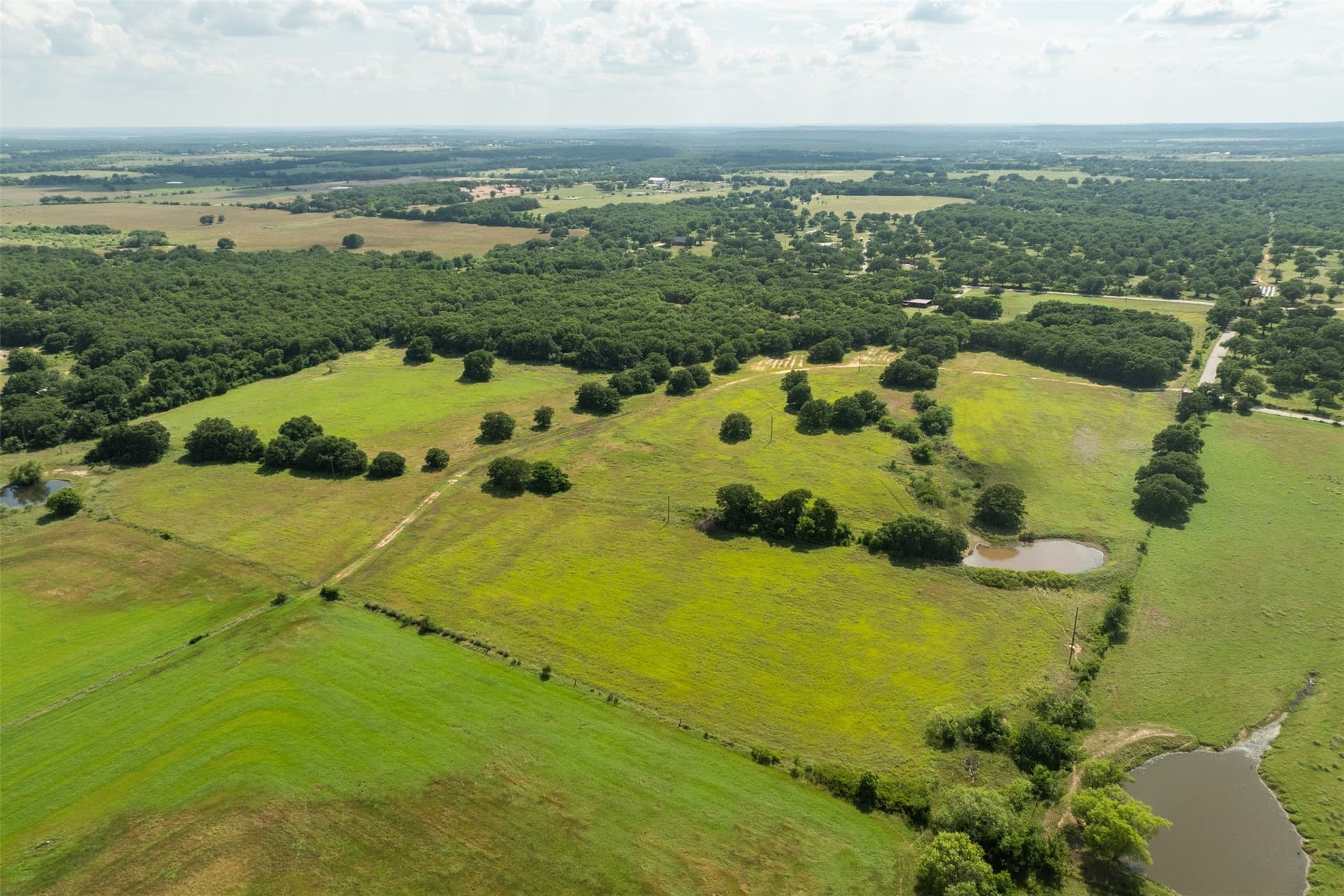 96.52 acres in Wise County - photo 4