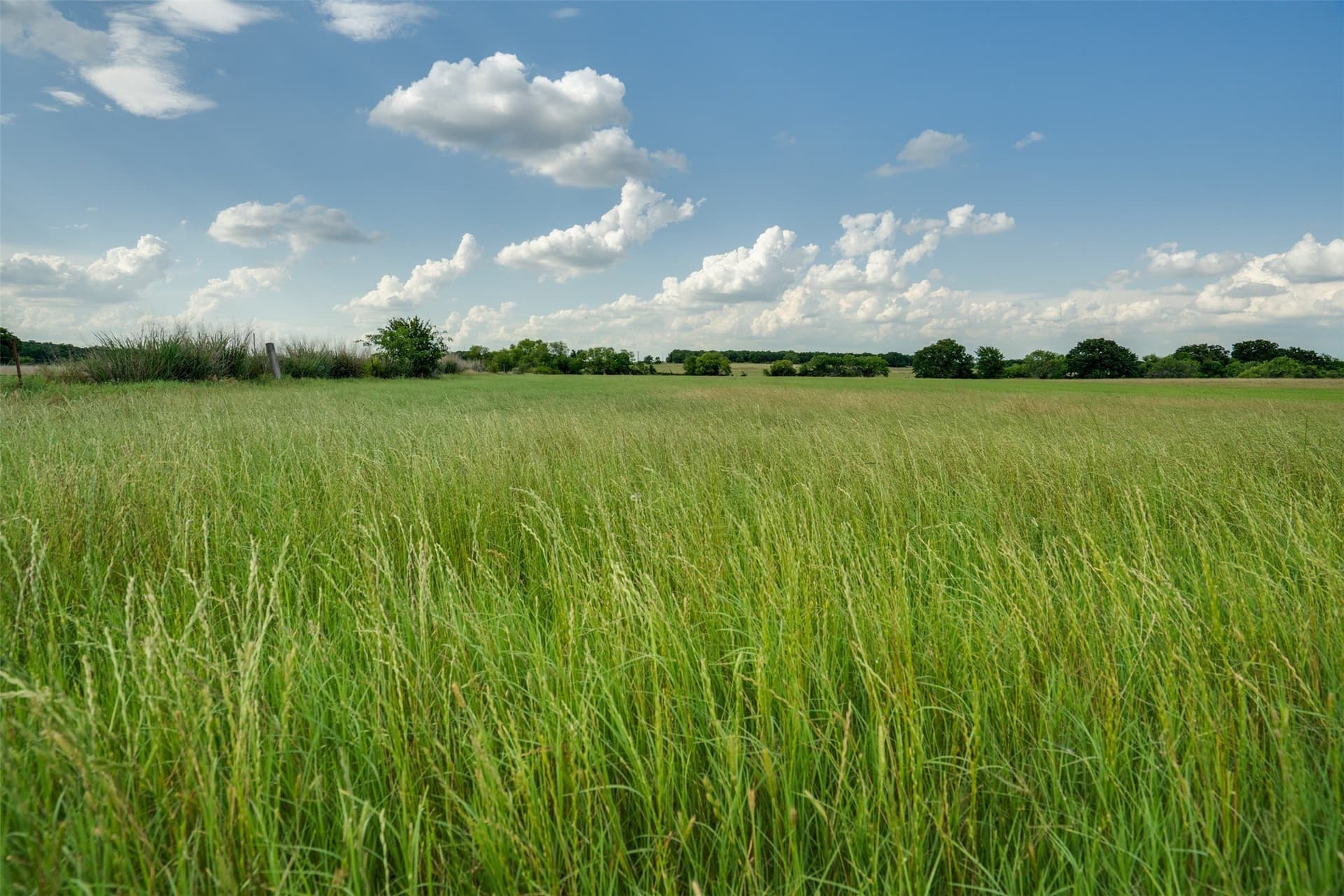 96.52 acres in Wise County - photo 40