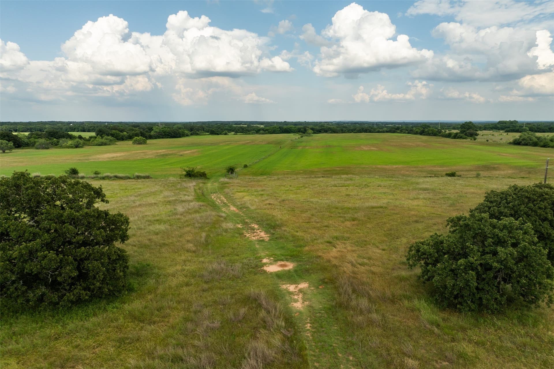96.52 acres in Wise County - photo 20