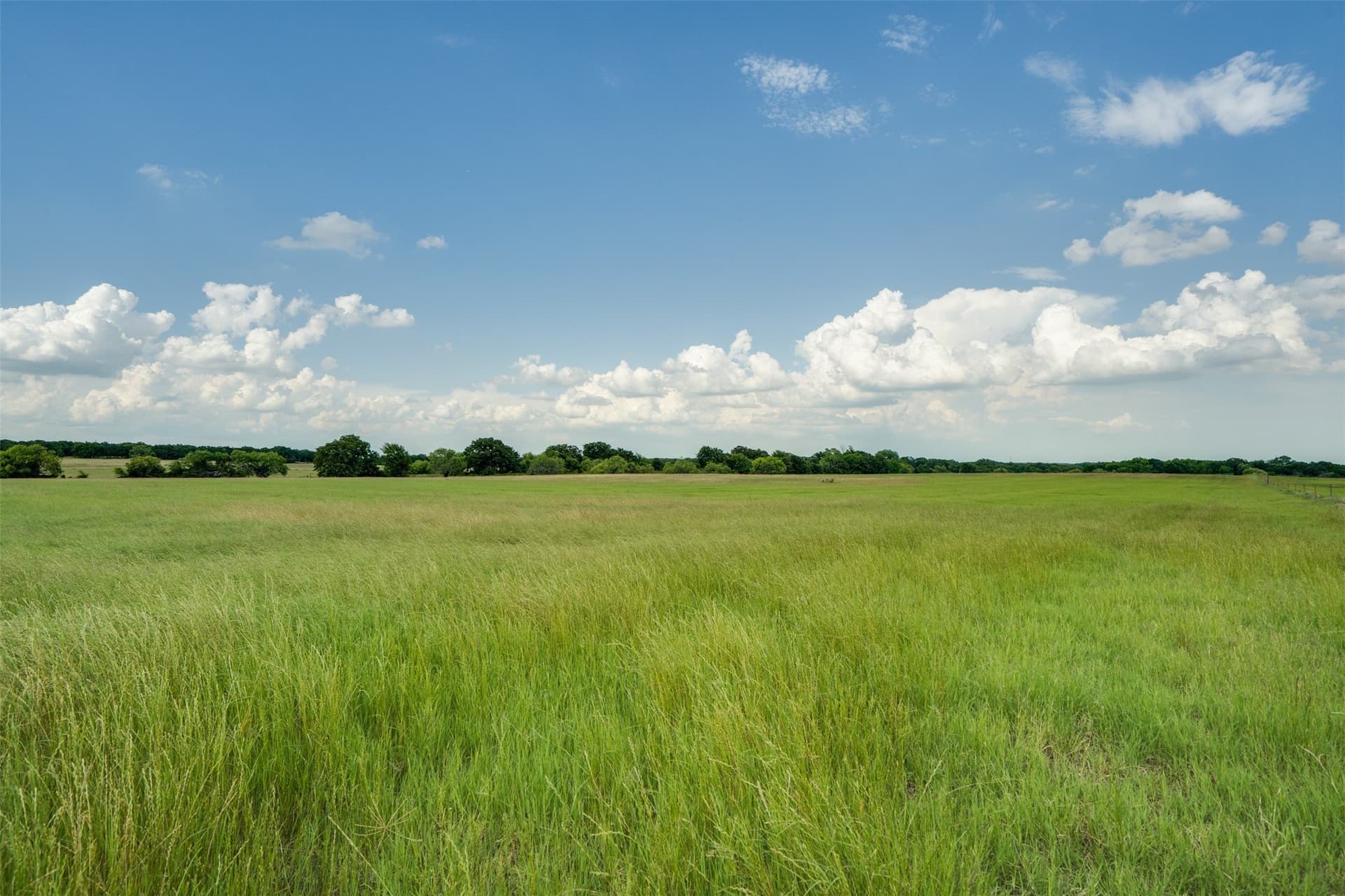96.52 acres in Wise County - photo 39