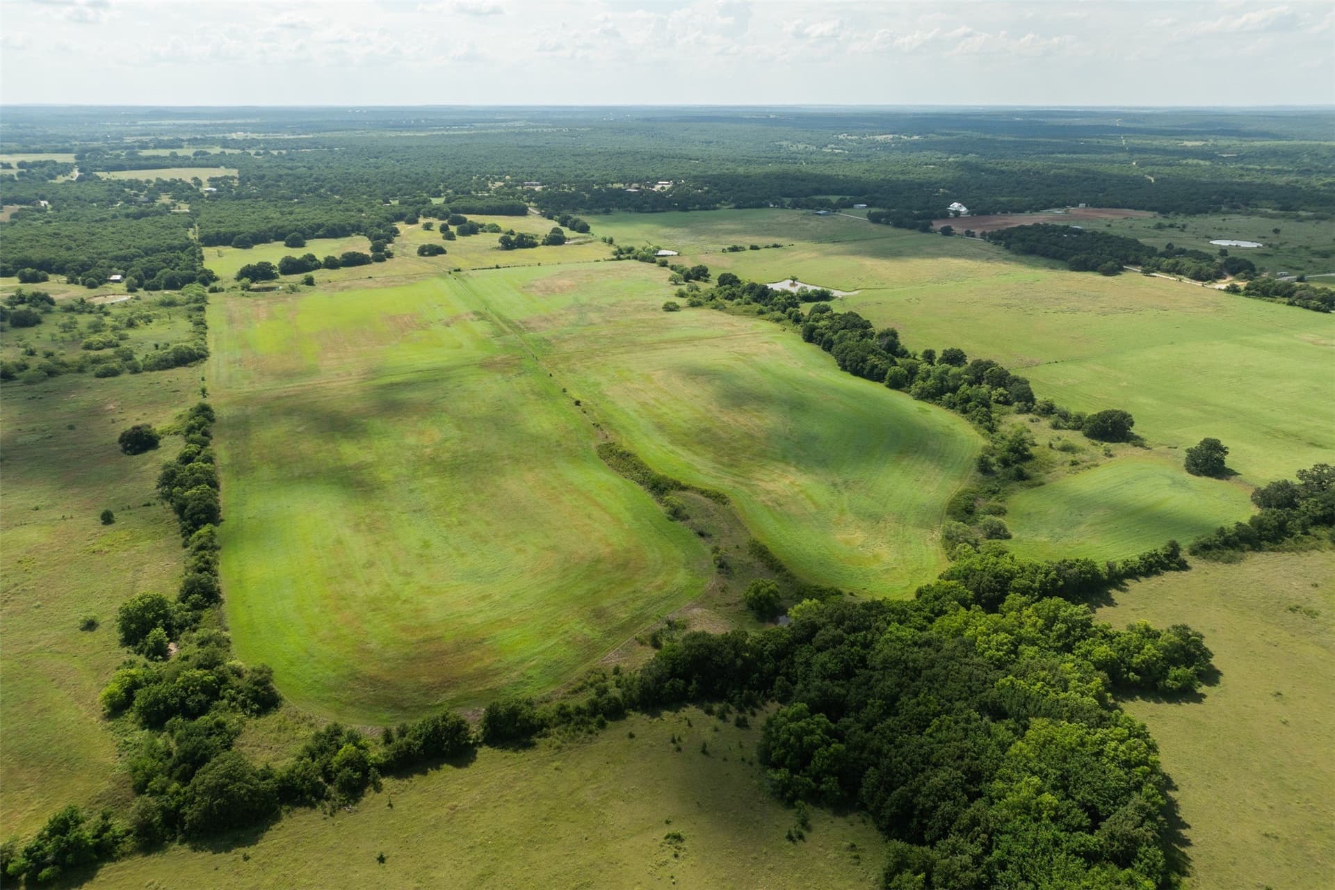 96.52 acres in Wise County - photo 8