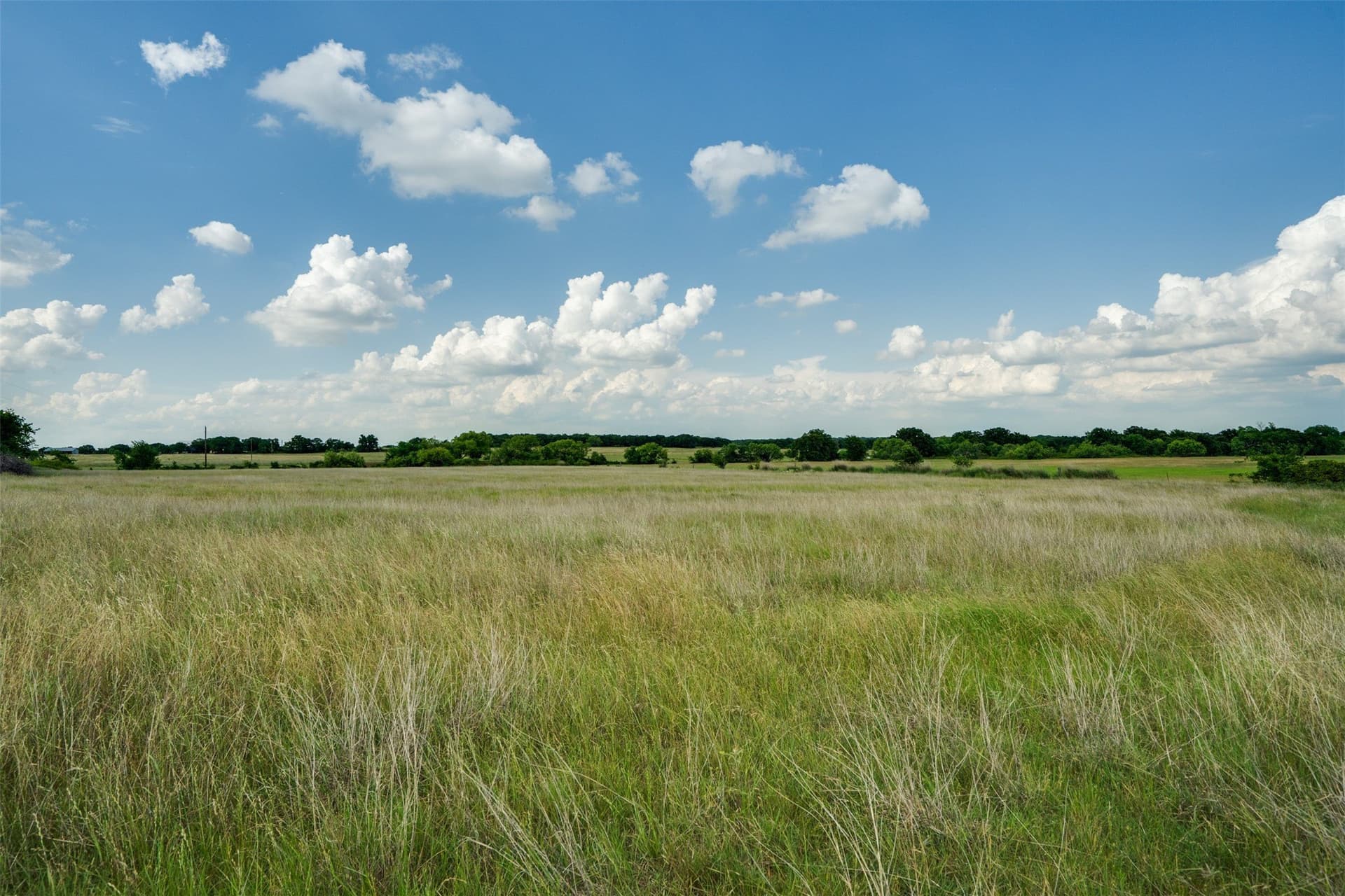96.52 acres in Wise County - photo 37