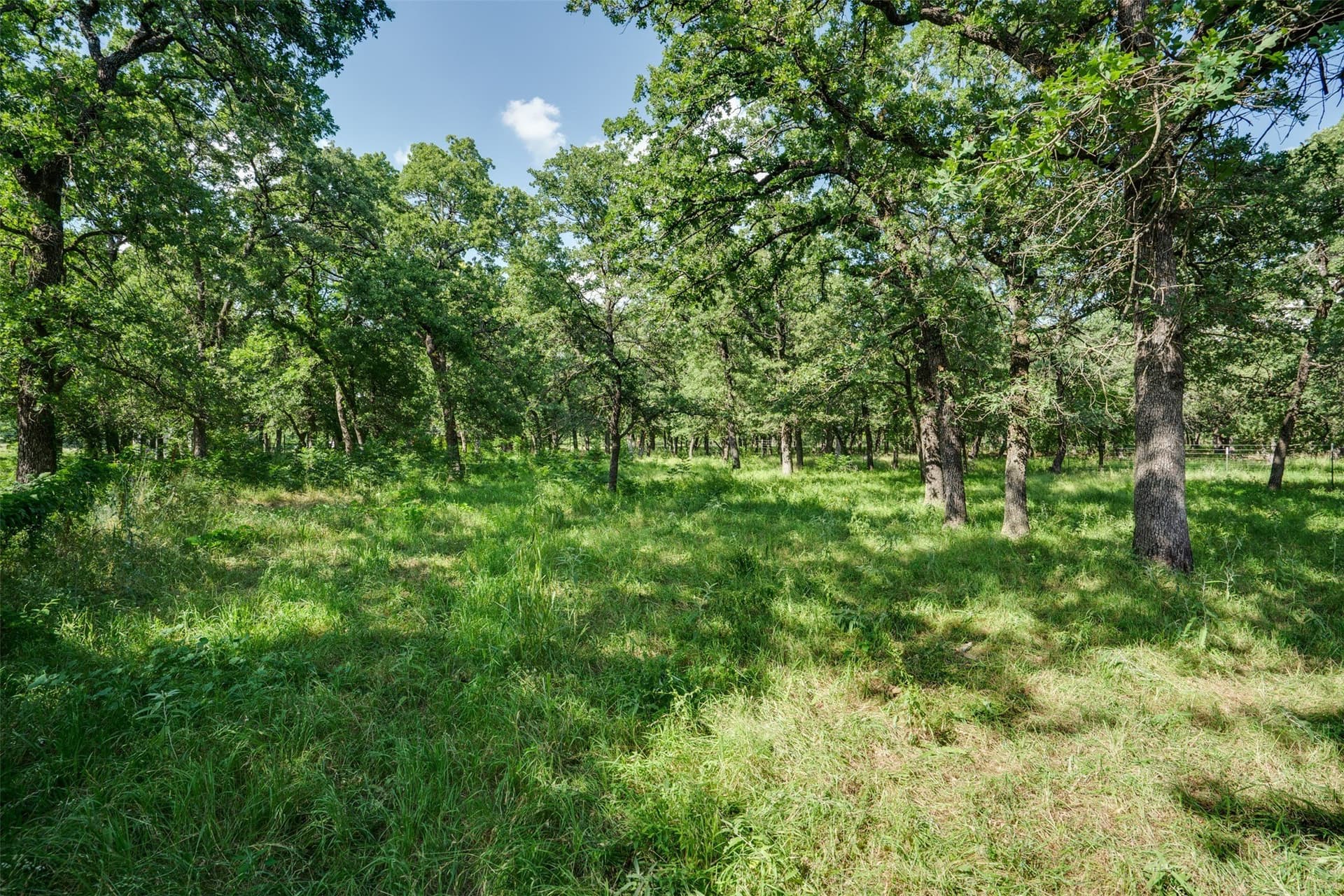 96.52 acres in Wise County - photo 36