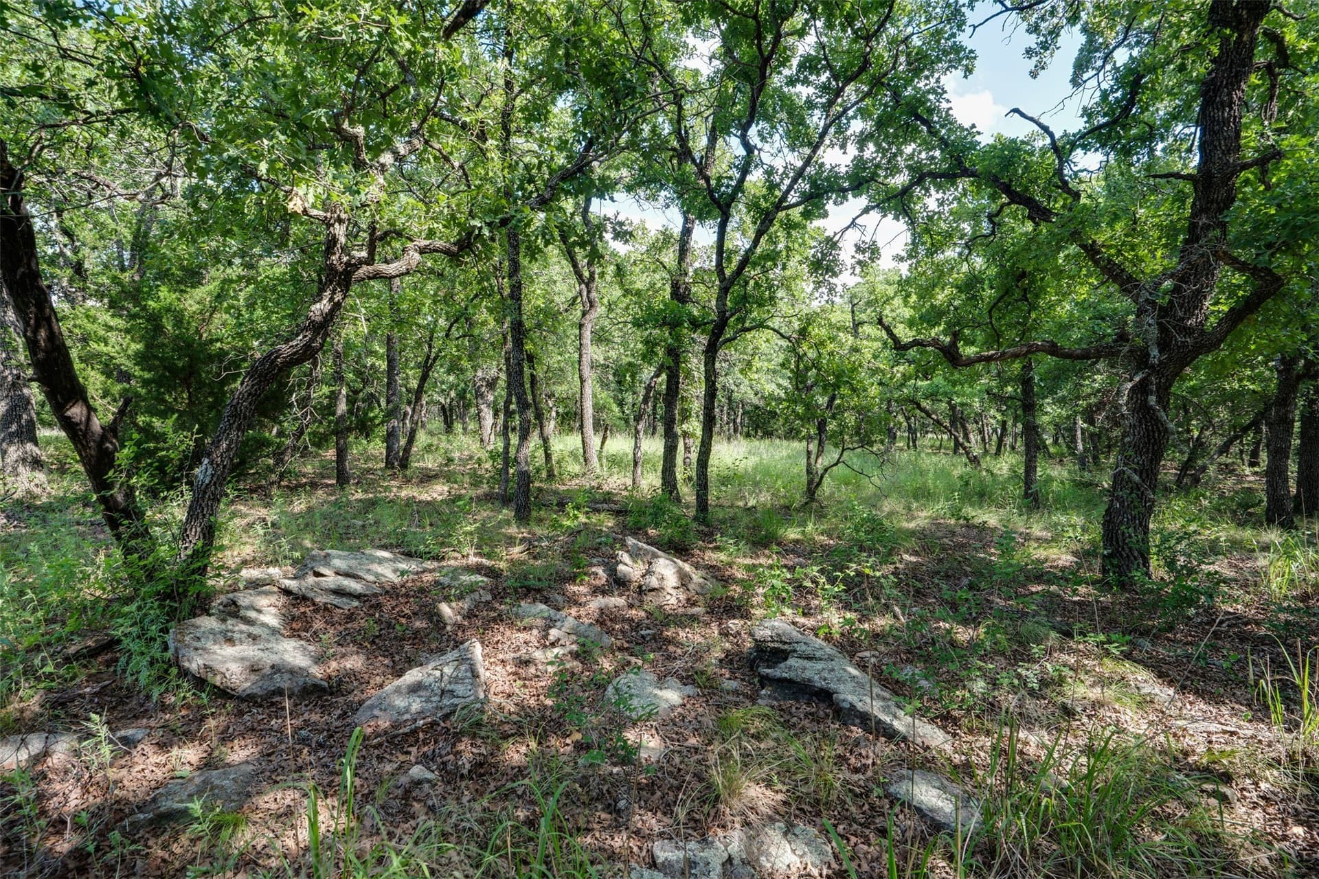 96.52 acres in Wise County - photo 35