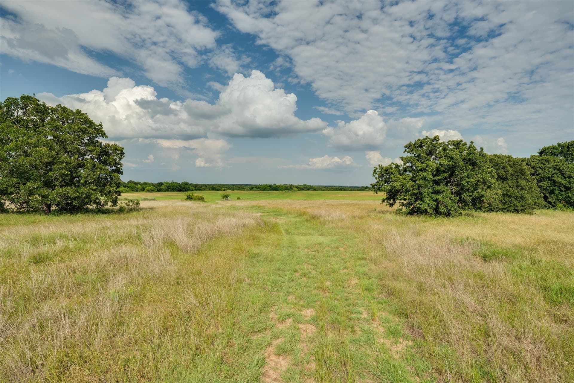 96.52 acres in Wise County - photo 38