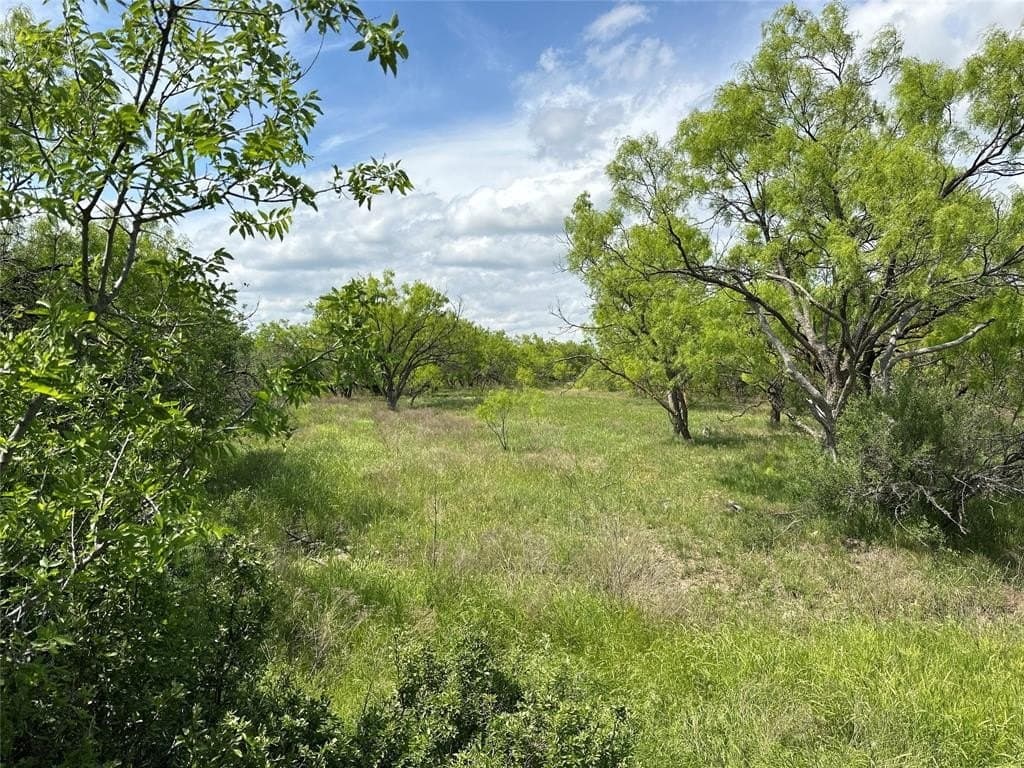 14 acres in Callahan County gallery image 3
