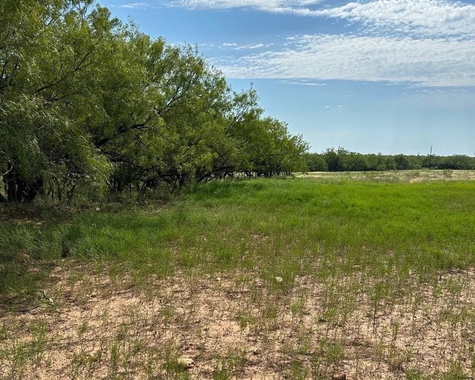 14 acres in Callahan County