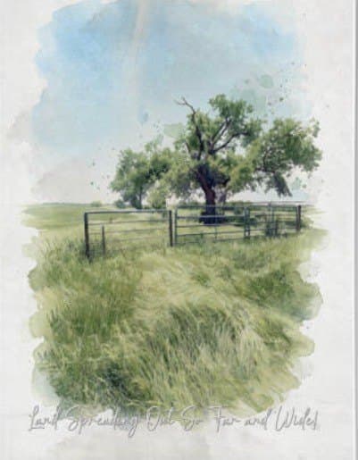 50 acres in Cooke County - photo 8