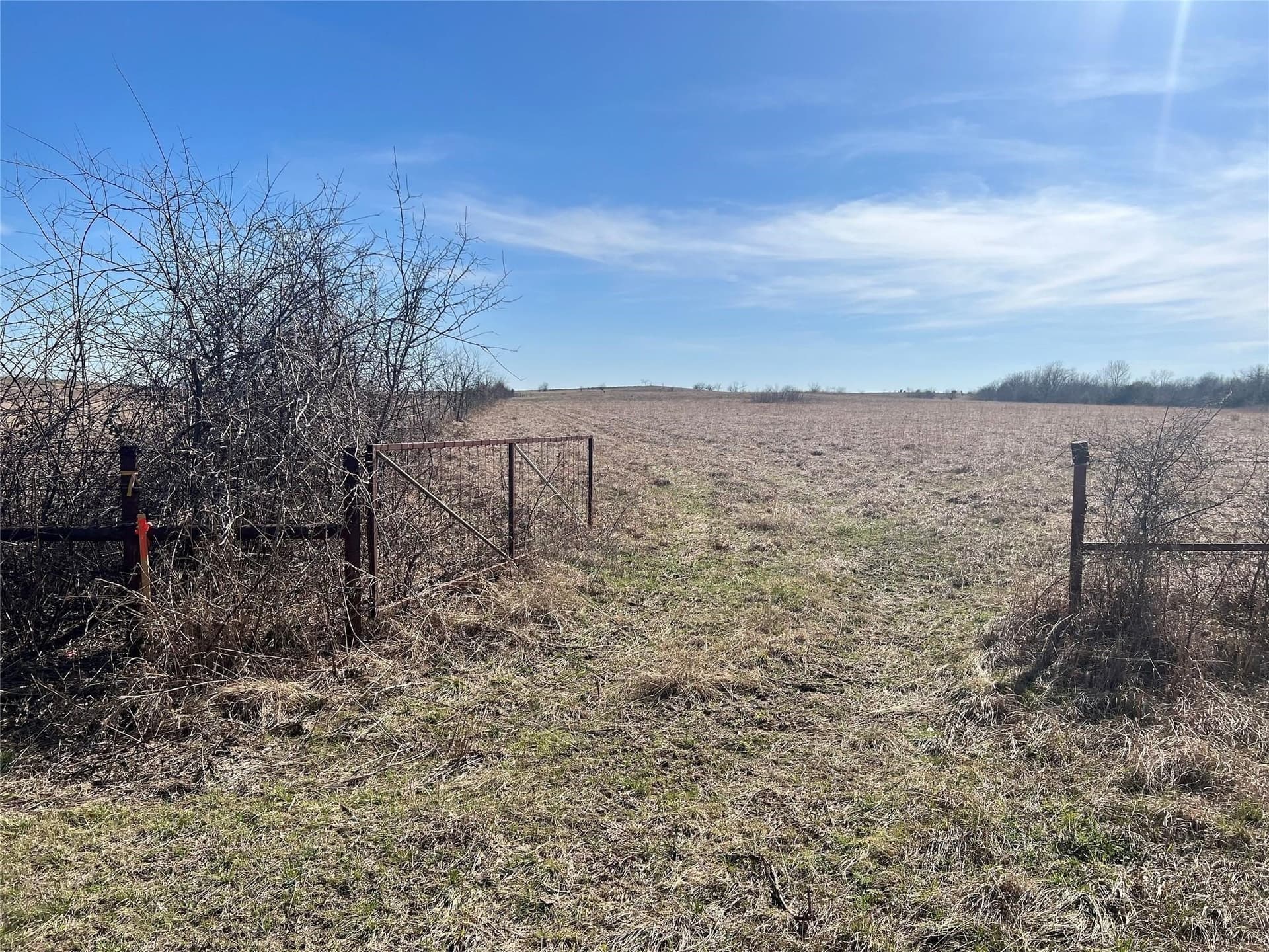 92.93 acres in Johnson County - photo 6