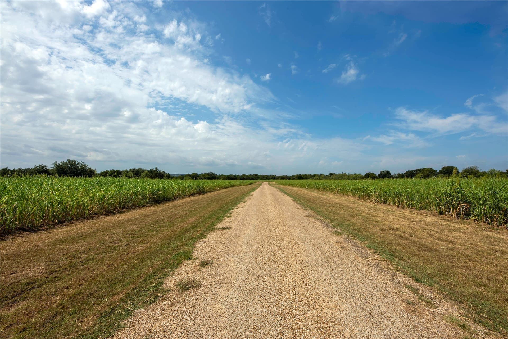 25.32 acres in Bosque County gallery image 2
