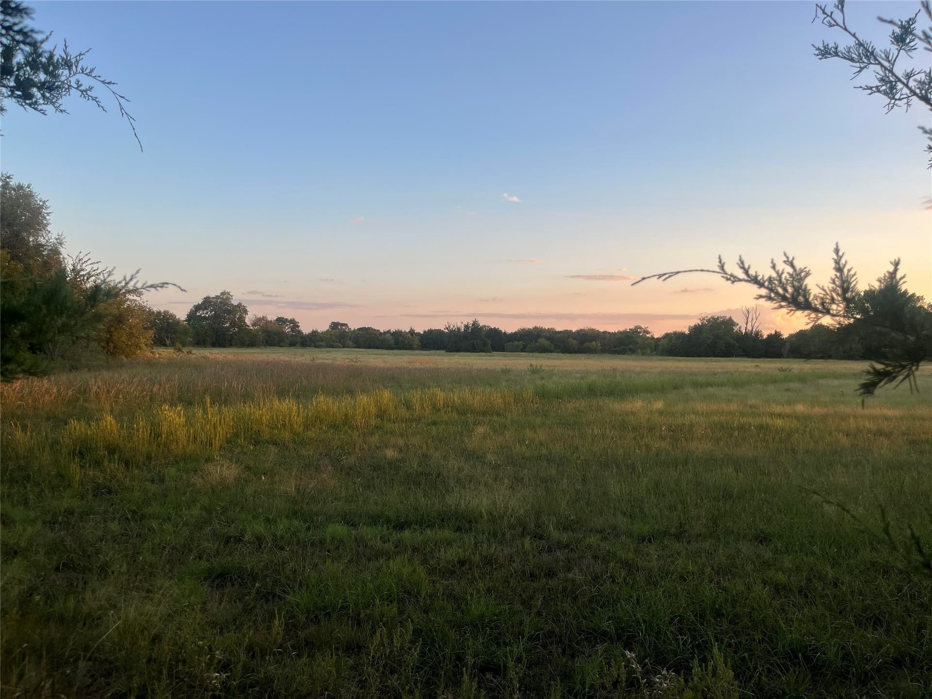 8.11 acres in Fannin County - photo 4