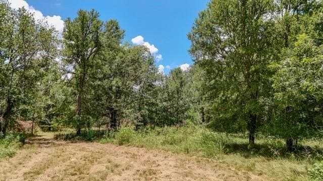 60 acres in Bosque County gallery image 4