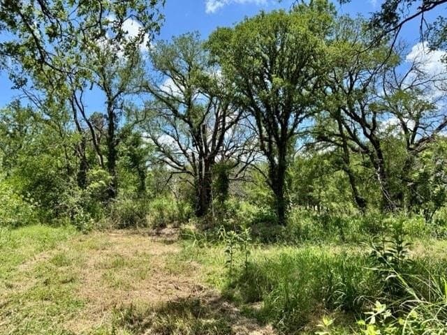 60 acres in Bosque County gallery image 2