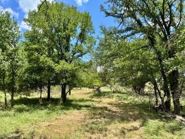60 acres in Bosque County gallery image 3