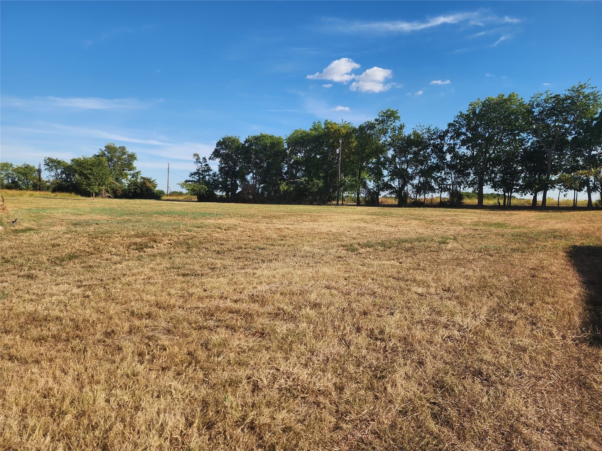3.5 acres in Fannin County - photo 14