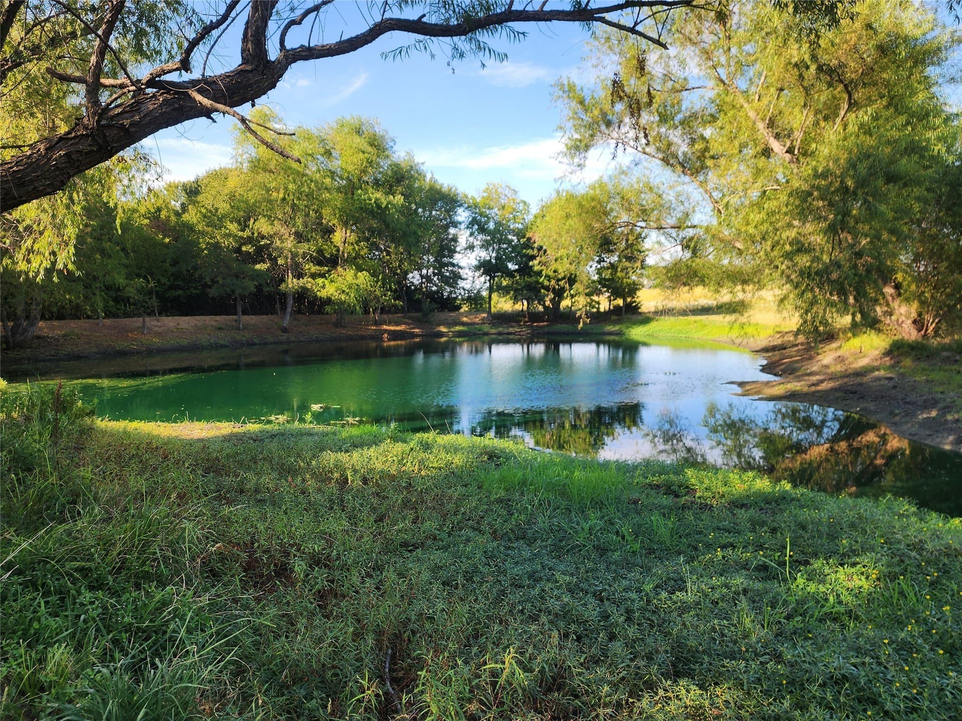 3.5 acres in Fannin County - photo 7