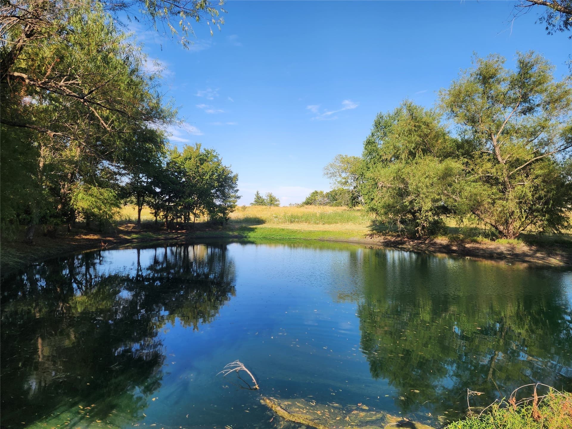 3.5 acres in Fannin County - photo 8