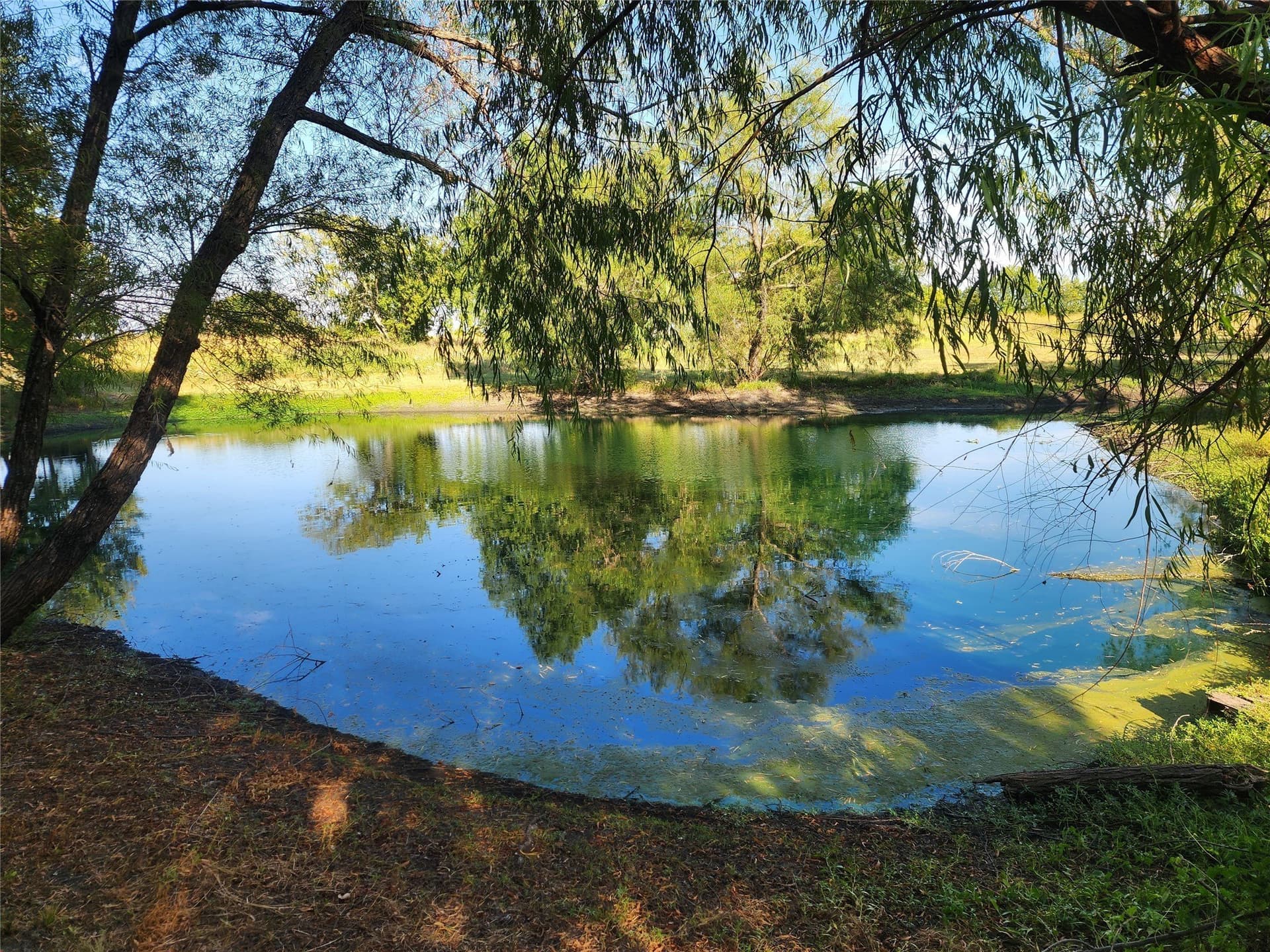 3.5 acres in Fannin County - photo 9