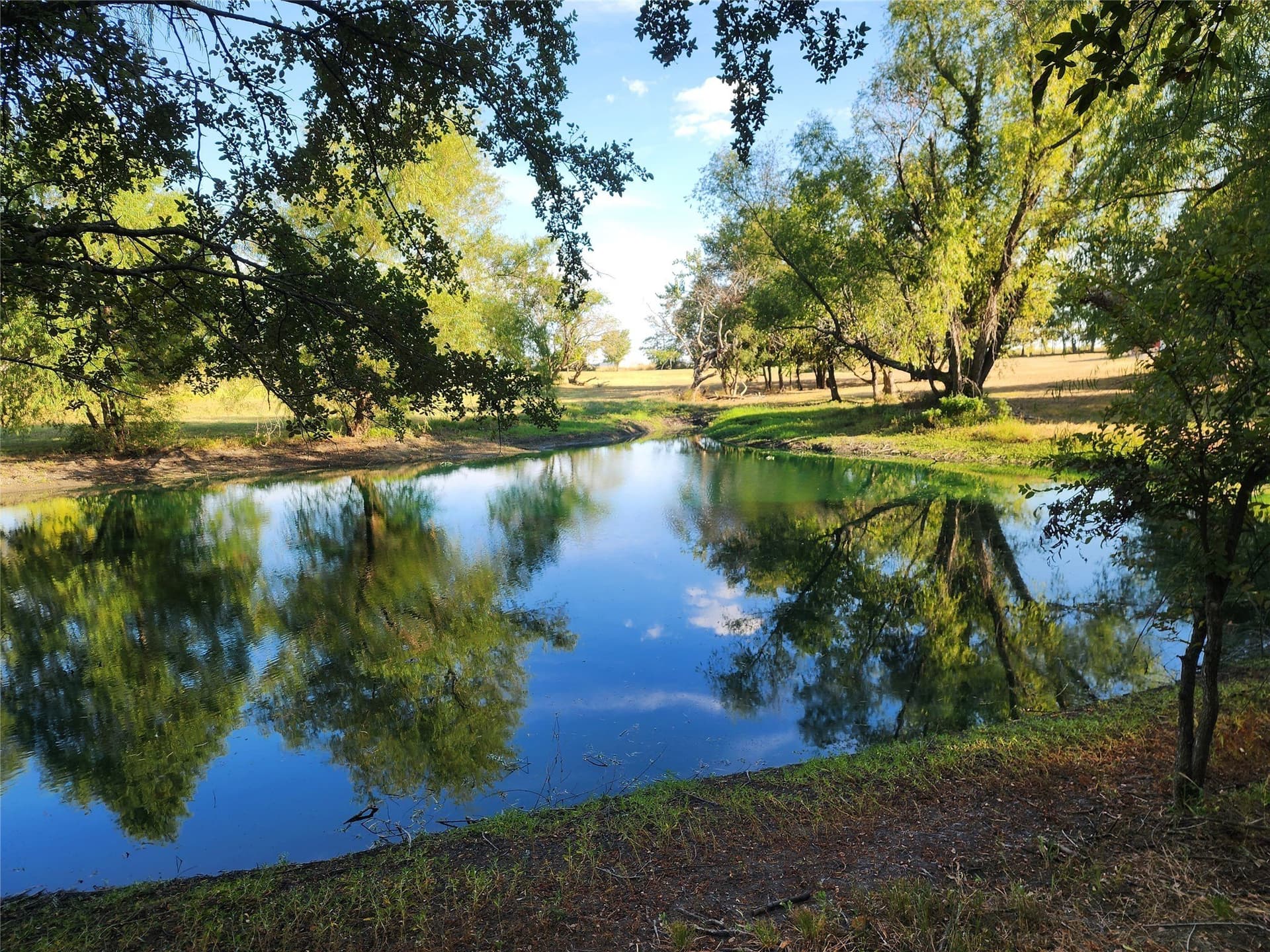3.5 acres in Fannin County