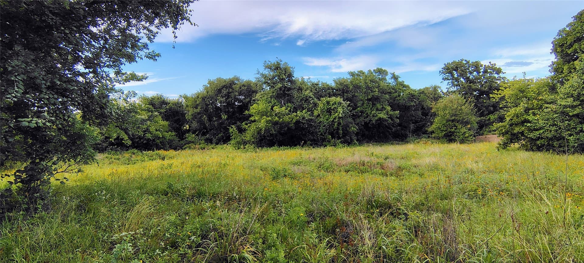 10.5 acres in Hill County - photo 5