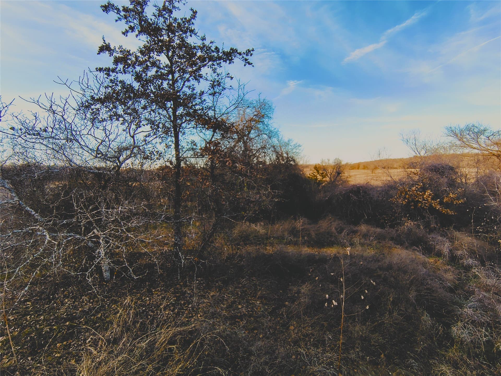 10.5 acres in Hill County - photo 11