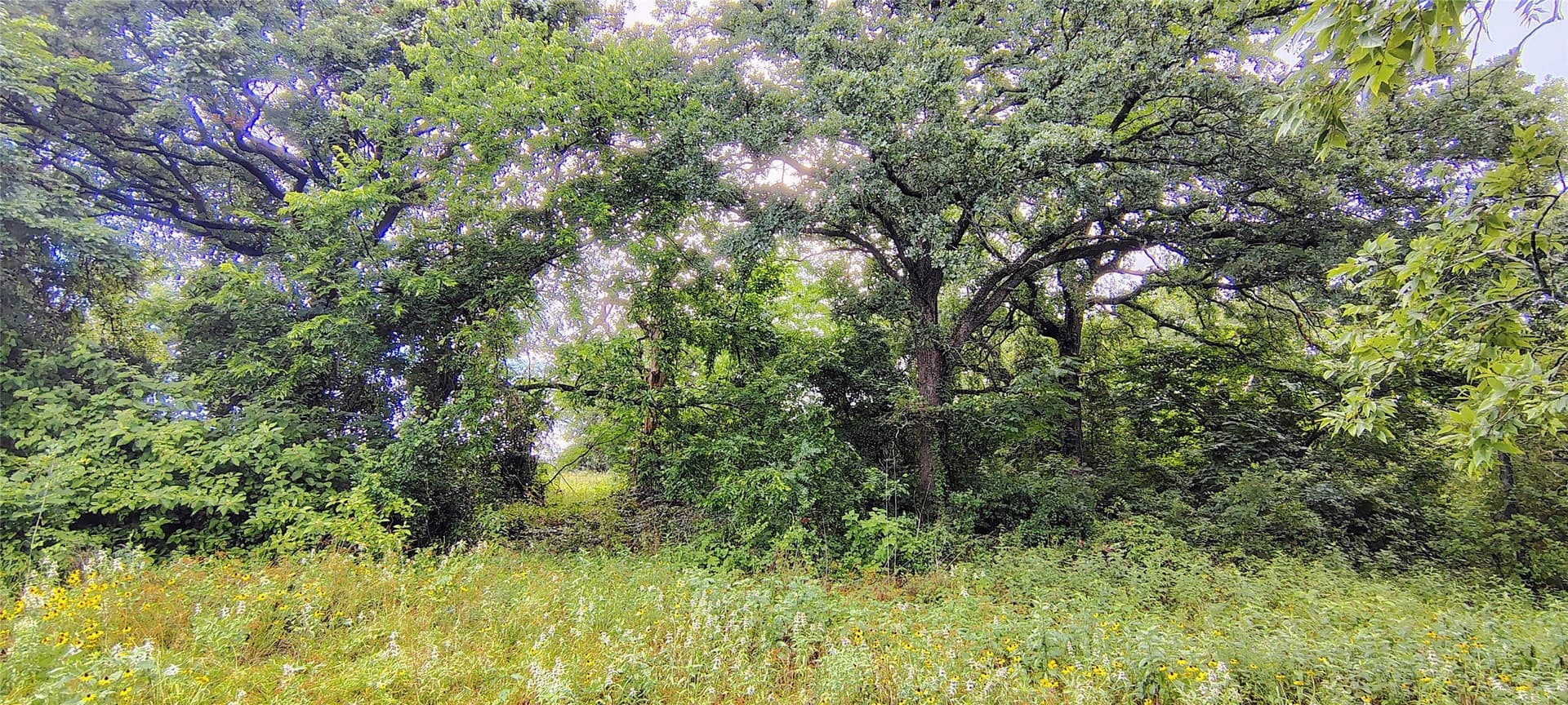 10.5 acres in Hill County - photo 14