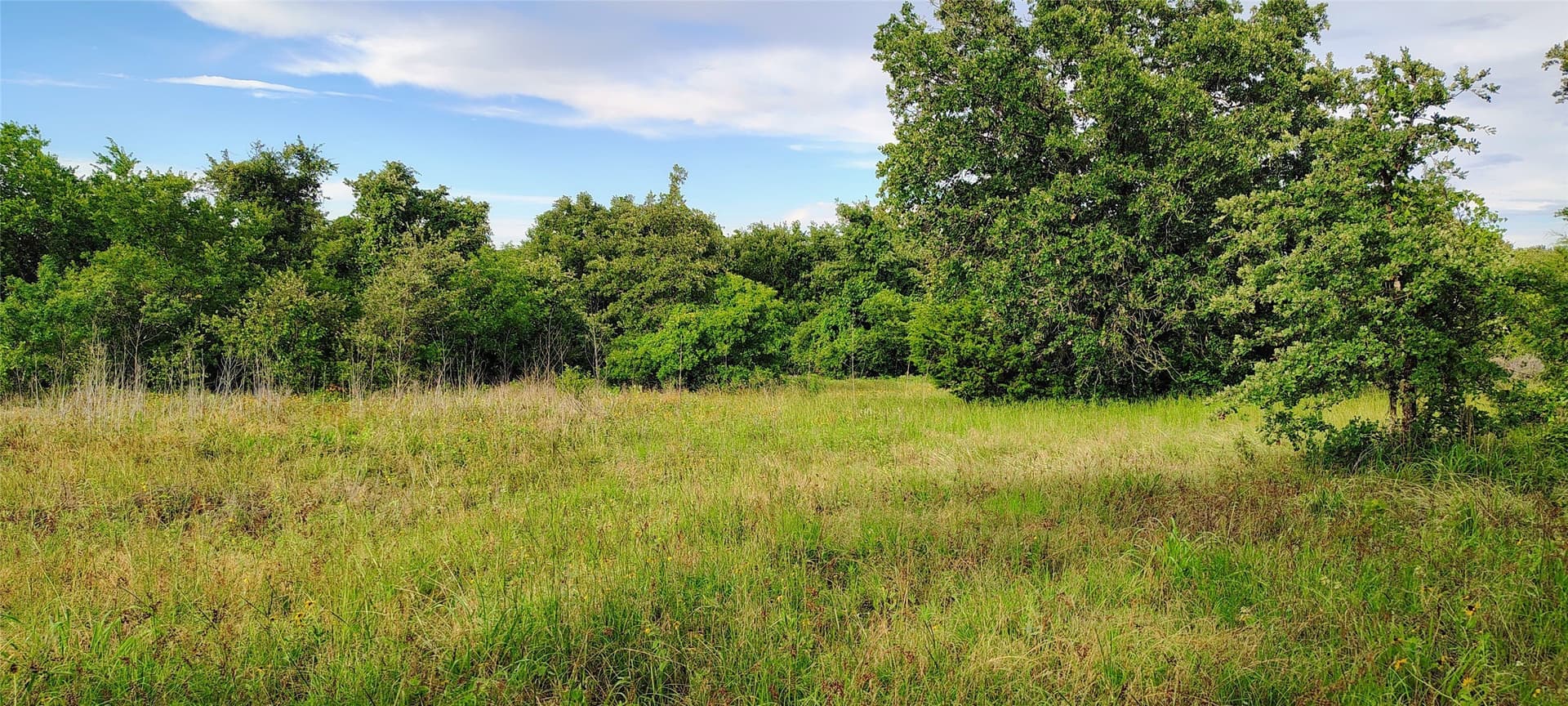 10.5 acres in Hill County - photo 15