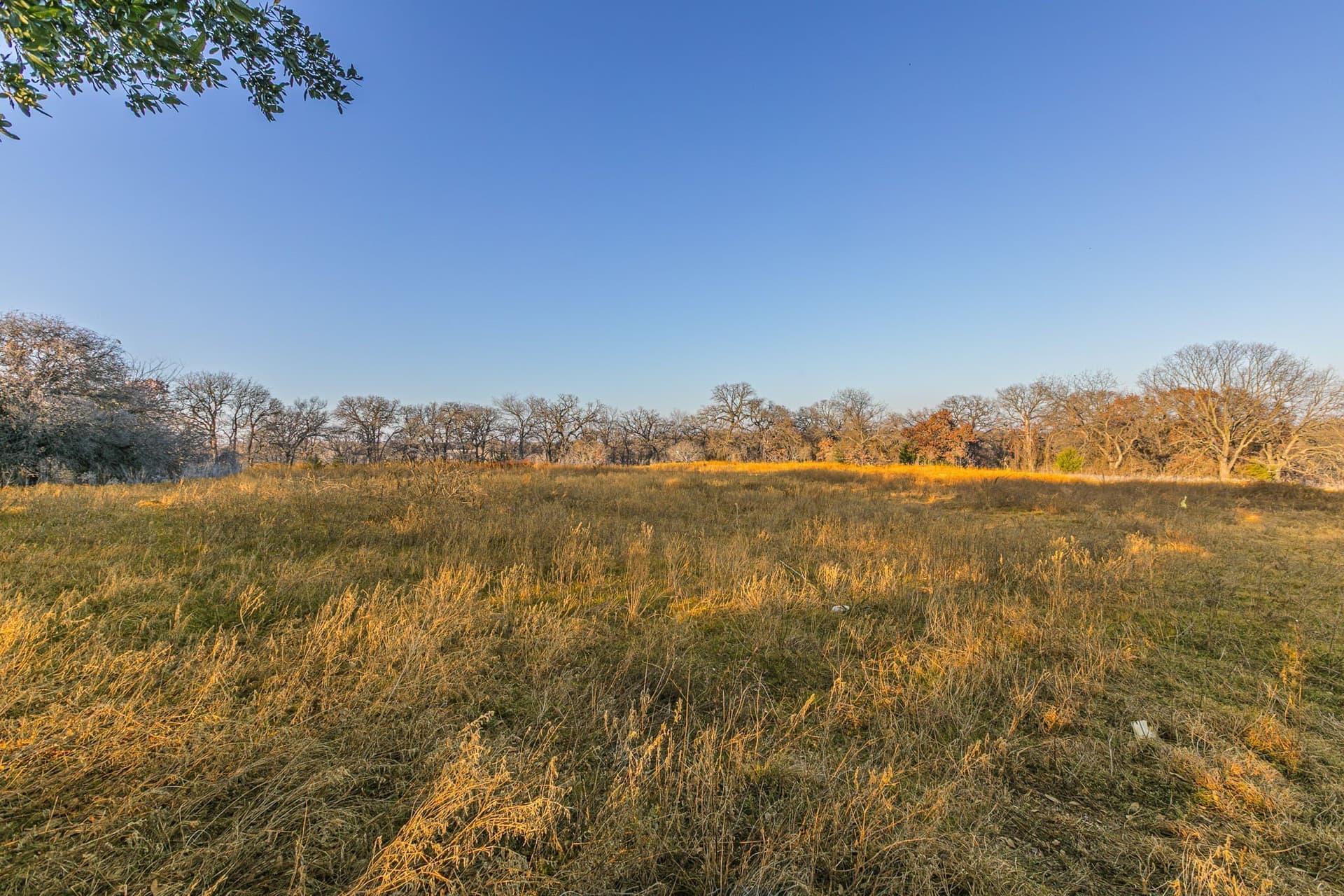 10.5 acres in Hill County - photo 6
