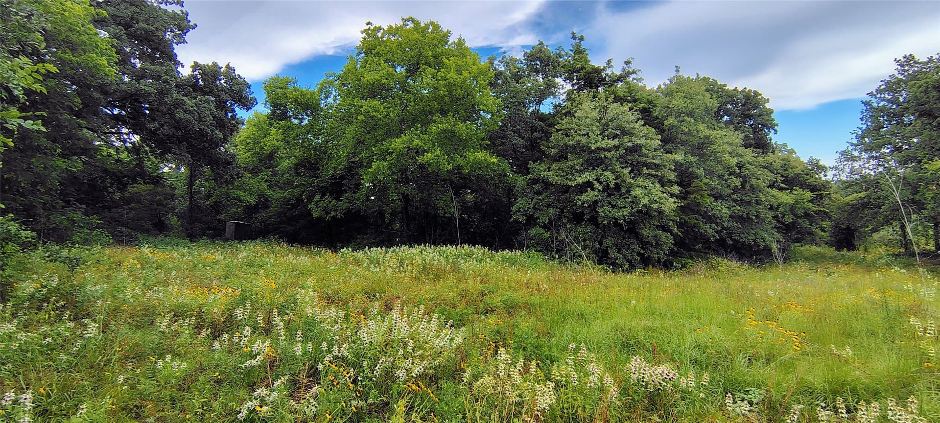 10.5 acres in Hill County - photo 7