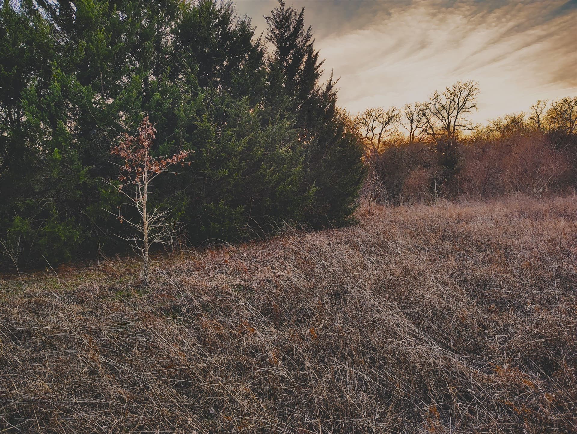 10.5 acres in Hill County - photo 12