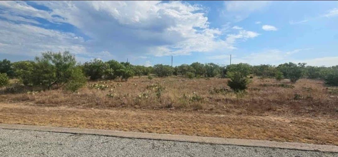 0.11 acres in Palo Pinto County - photo 4