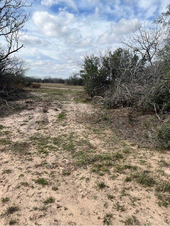 10.1 acres in Duval County featured view