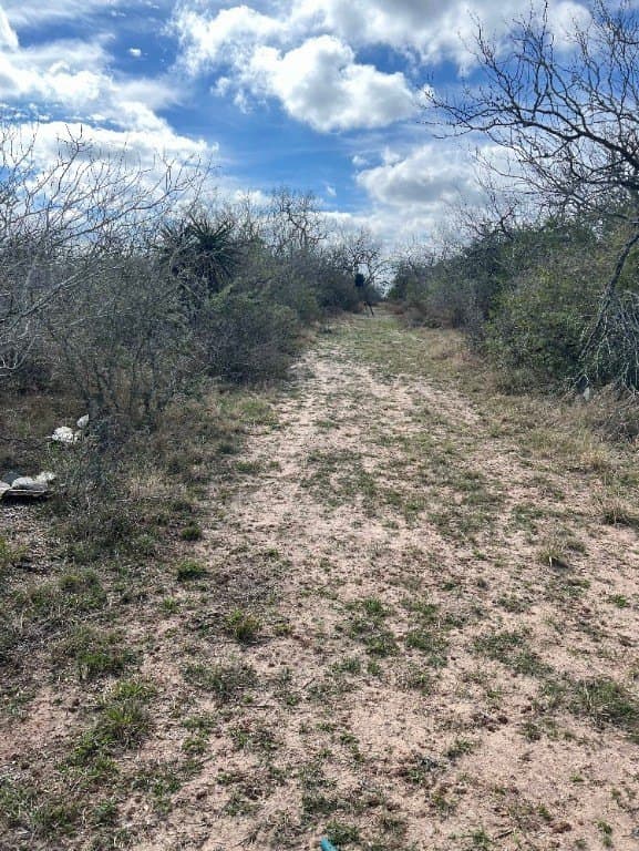 10.1 acres in Duval County - photo 6