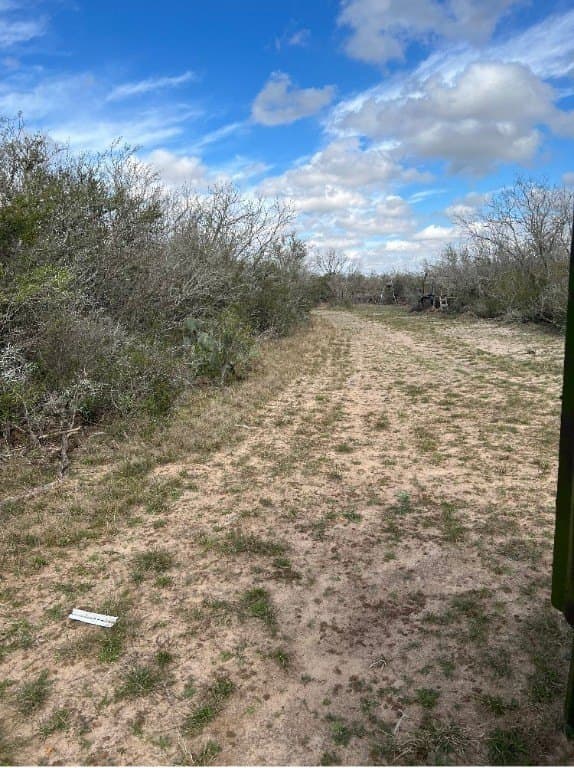 10.1 acres in Duval County gallery image 3